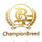 cblogo gold